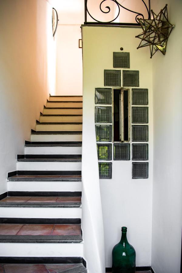 Olimpo Apartment *
